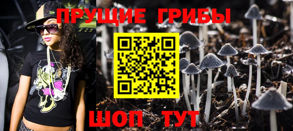 Псилоцибиновые грибы прущие грибы Кимовск