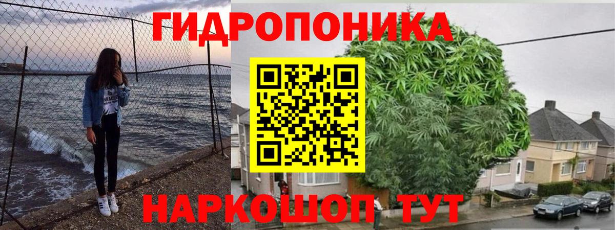 Бошки марихуана марихуана  Марихуана гибрид  Каннабис Amnesia  Кимовск  Вход с VPN 